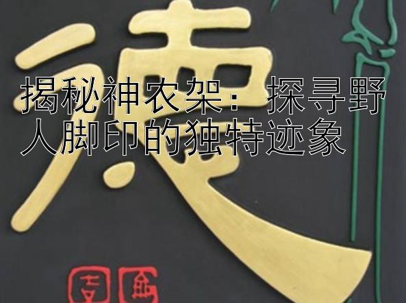 揭秘神农架：探寻野人脚印的独特迹象