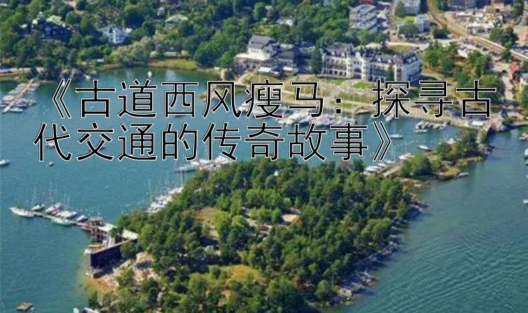 《古道西风瘦马：探寻古代交通的传奇故事》